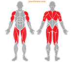 Fitnessgeräte - Massagegeräte - F28 – Bild 4