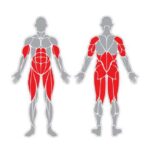 Fitnessgerät - Miltifunctional Fitness Station F33 – Bild 6