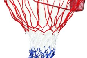ACRA Basketballkorb mit Netz