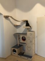 3-in-1-Kratzbaum-Haus Beky (links) – Bild 4
