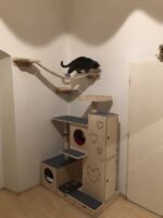 3-in-1-Kratzbaum-Haus Beky (links) – Bild 5