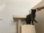 3-in-1-Kratzbaum-Haus Beky (links) – Bild 6