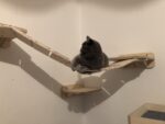 3-in-1-Kratzbaum-Haus Beky (links) – Bild 9