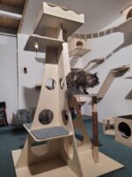 Katzenkletterturm Queen – Bild 5