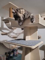 Katzenkletterturm Queen – Bild 6