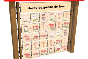 Monkeys Lernwandtafel Memory – Pilze – Sicher in den Wald