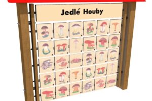 Monkeys Lerntafel Memory – Essbare Pilze für die Wand