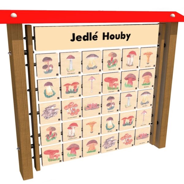 Monkeys Lerntafel Memory – Essbare Pilze für die Wand